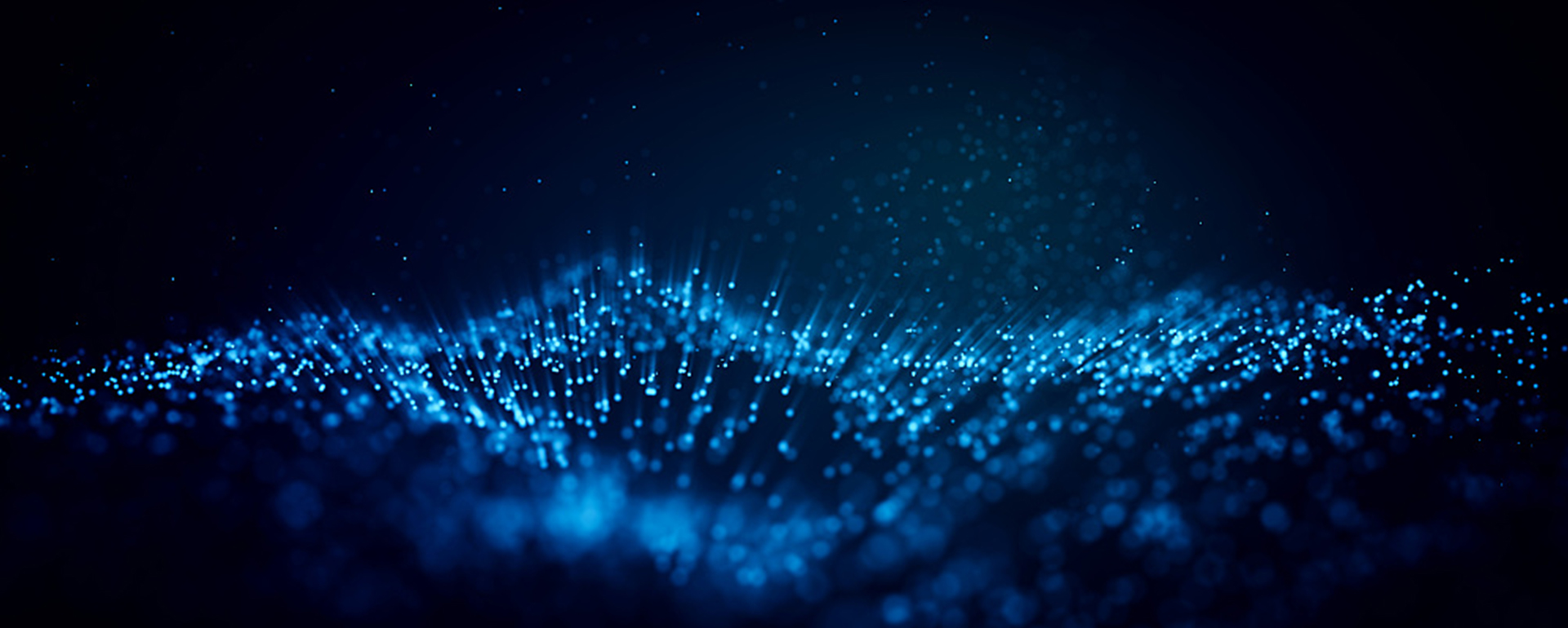 Bevictor伟德官网-韦德(中国)体育-伟大始于1946