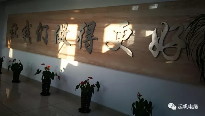 第六届金山戋戋长质量奖宣布，，，，，，，韦德网站官方入口电缆周供华榜上著名