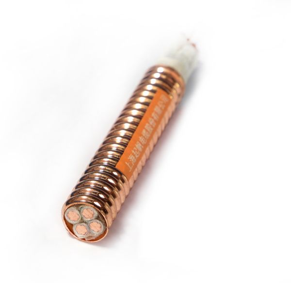 Bevictor伟德官网-韦德(中国)体育-伟大始于1946