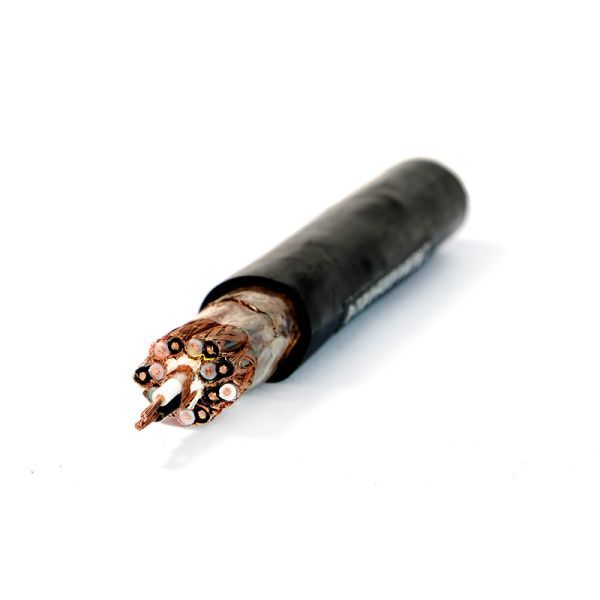 Bevictor伟德官网-韦德(中国)体育-伟大始于1946