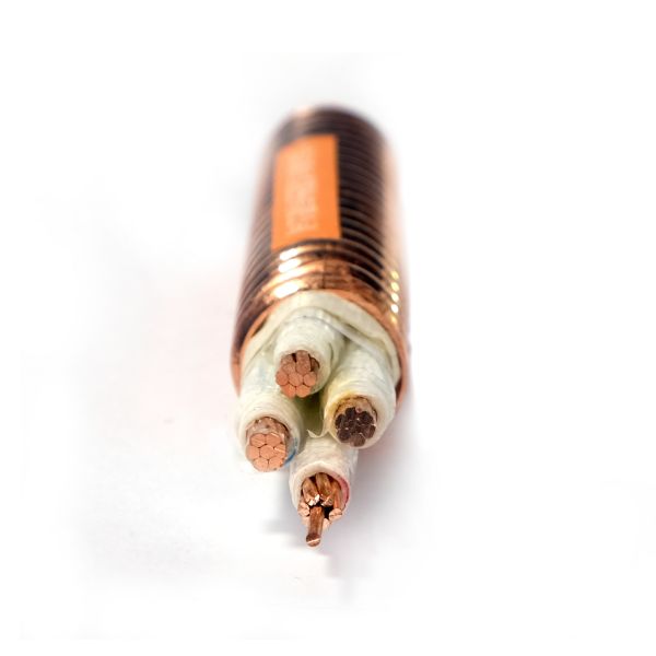 Bevictor伟德官网-韦德(中国)体育-伟大始于1946