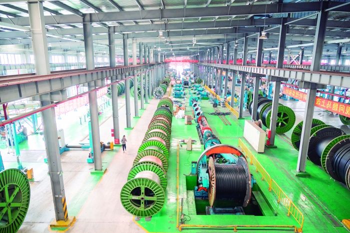 新质浙商 | 韦德网站官方入口电缆：向“百年韦德网站官方入口”进发